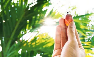 ユニバーサルプロダクトデザイン