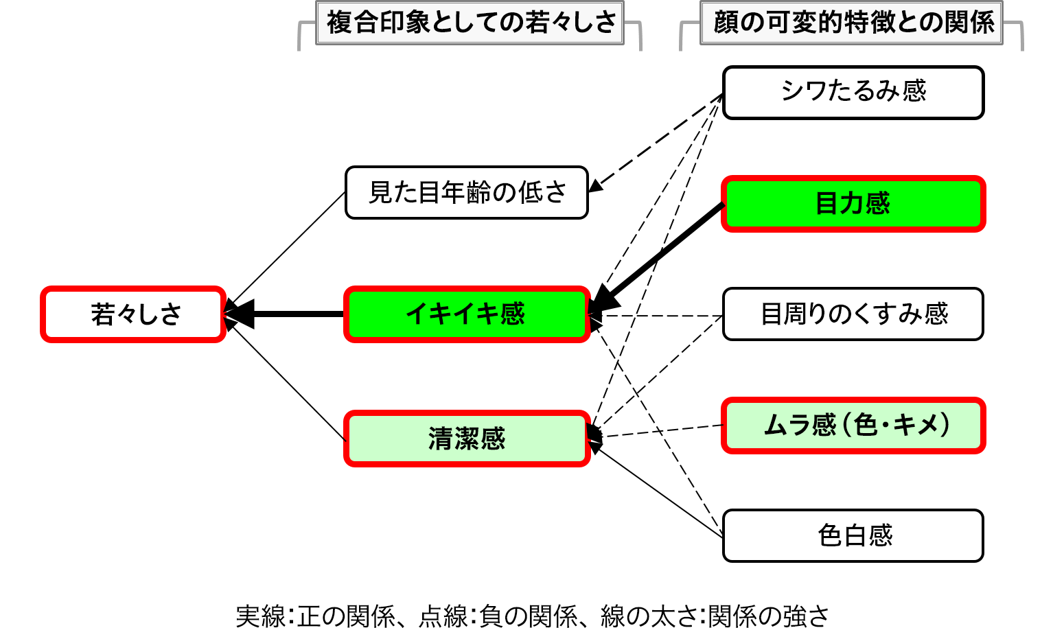 花王 見た目の顔の若々しさは 特に イキイキ感 清潔感 の印象と関係している 花王 見た目の顔の若々しさは 特に イキイキ感 清潔感 の印象と関係している
