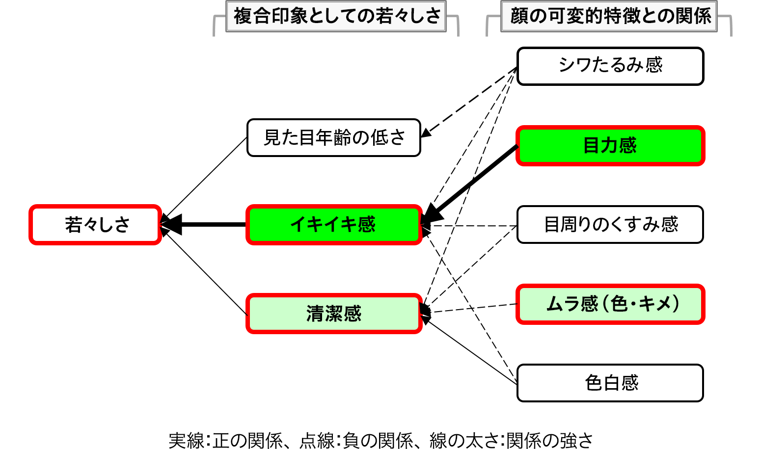 花王 見た目の顔の若々しさは 特に イキイキ感 清潔感 の印象と関係している