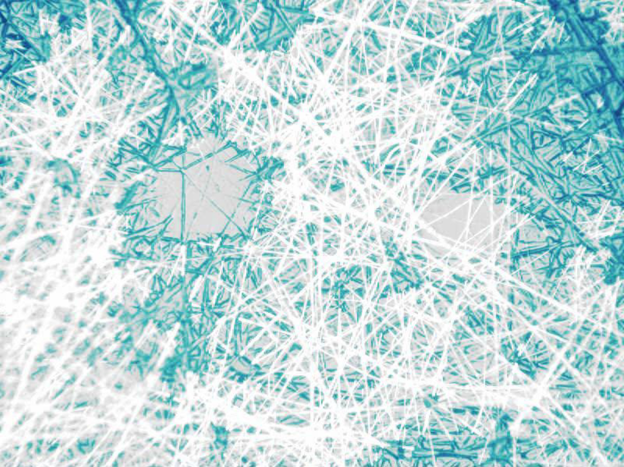 花王 Fine Fiber ファインファイバー 技術 を開発