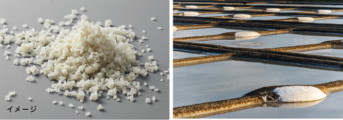 花王 スカルプ美容エキスパートケア Ines イネス 誕生