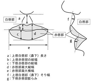 PowerPoint プレゼンテーション