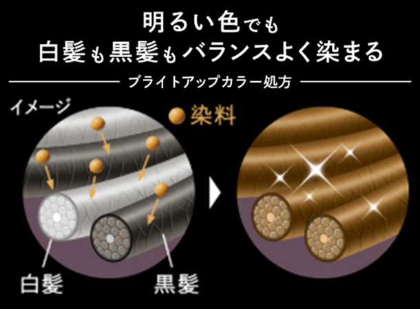 花王 明るい髪色を楽しめる白髪染め ブローネ Lumiest ルミエスト 新発売