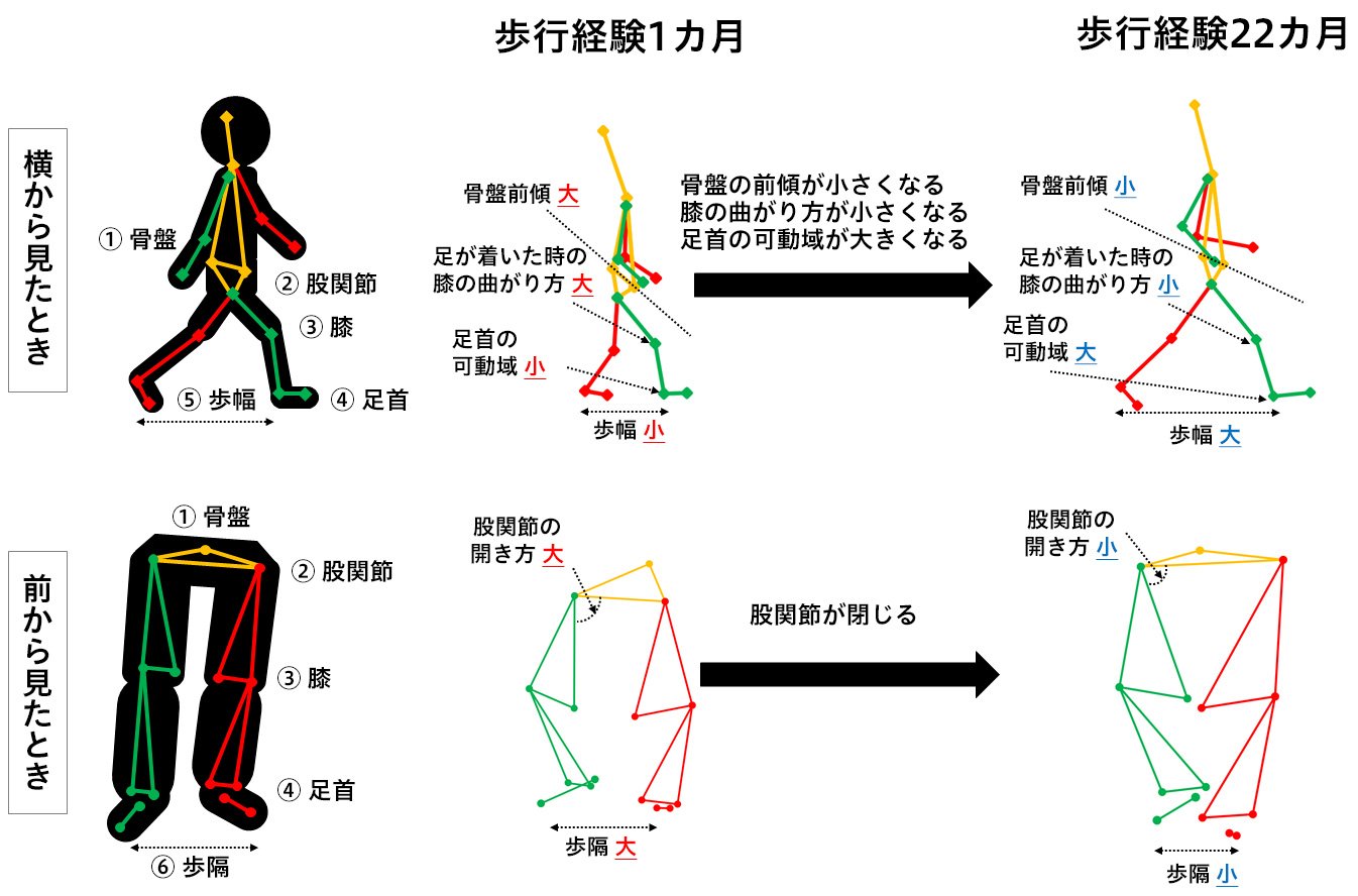 花王 モーションキャプチャ技術で幼児の歩行発達メカニズムを解明 花王 モーションキャプチャ技術で幼児の歩行発達メカニズムを解明