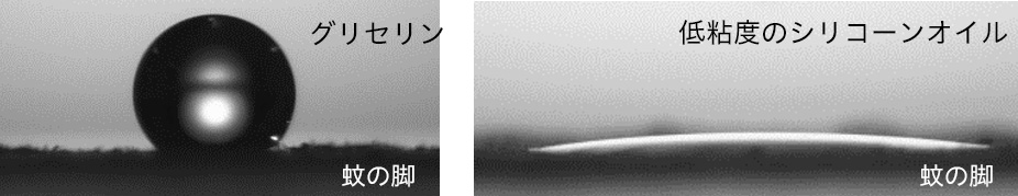 花王 蚊の嫌う肌表面をつくり 蚊に刺されることを防ぐ技術を開発 蚊を媒介とする感染症から守る 花王 蚊の嫌う肌表面をつくり 蚊に刺されることを防ぐ技術を開発 蚊を媒介とする感染症から守る