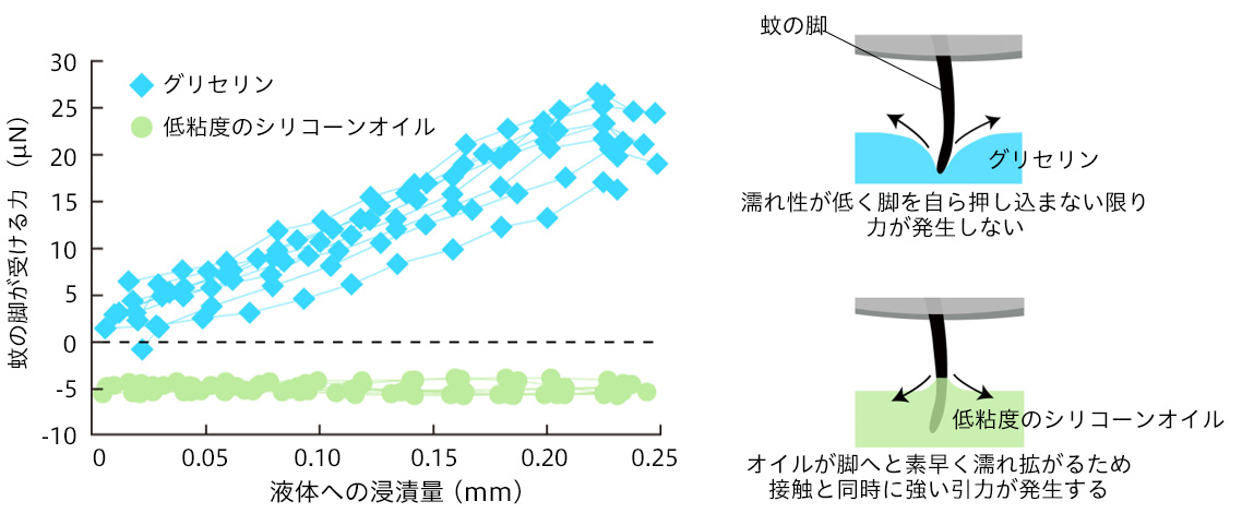 花王 蚊の嫌う肌表面をつくり 蚊に刺されることを防ぐ技術を開発 蚊を媒介とする感染症から守る