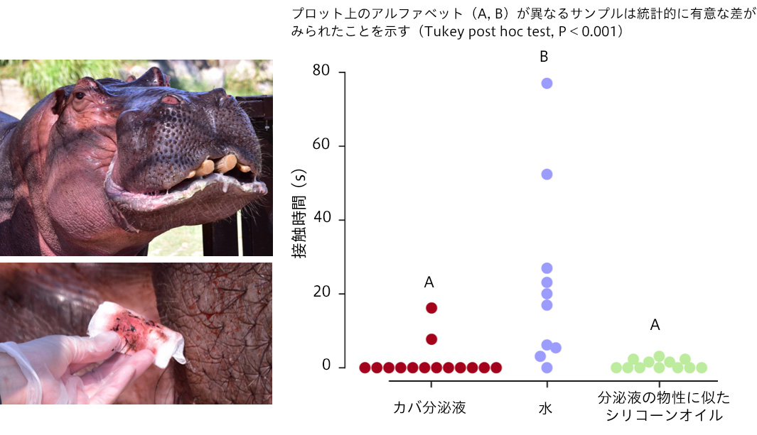 花王 蚊の嫌う肌表面をつくり 蚊に刺されることを防ぐ技術を開発 蚊を媒介とする感染症から守る 花王 蚊の嫌う肌表面をつくり 蚊に刺されることを防ぐ技術を開発 蚊を媒介とする感染症から守る