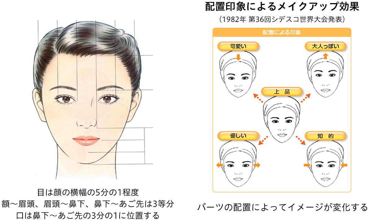 花王 日本人女性の 平均顔 と印象による顔の特徴を解析 個性や美の多様性を尊重するメイクアップ提案へ