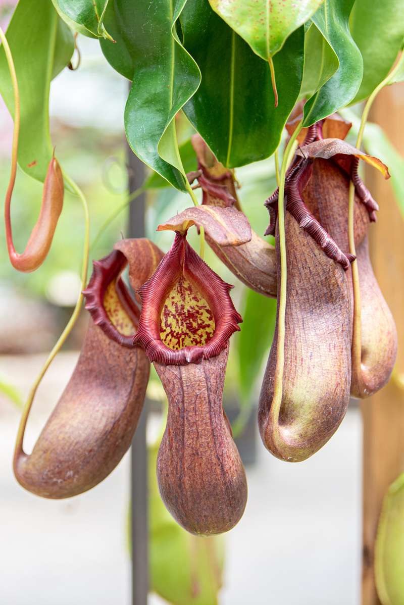 花王 塗布するだけで付着せずにすべり落ちる表面を作り出す 新たなコーティング剤の技術を開発