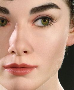 透明皮膚顔面解剖モデル(アジア人バージョン) 花王 | Art × Science：顔プロジェクト 本物らしく見える肌のために