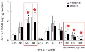 代表的なセラミドのなかで、特定のセラミド量が減っていることを表す図。特例のセラミドとは、NH, NP, EOS, EOH, EOPのこと。