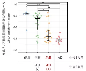 生後2カ月時点でざ瘡からADと診断された乳児の、生後1カ月時点での皮膚バリア関連分子群の皮脂RNA発現レベルを図示