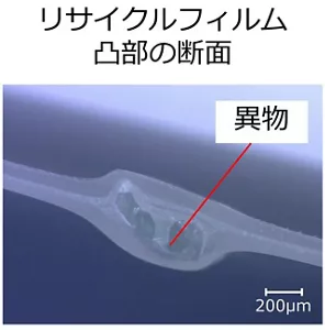 リサイクルフィルム凸部の断面