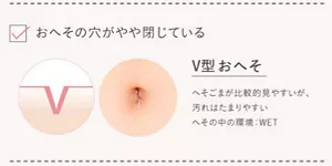 V型のおへその画像。おへその穴がやや閉じている。