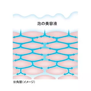 泡の美容液が角層最深部まで浸透しているイメージ図