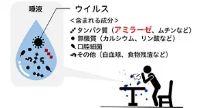唾液には、ウイルスやアミラーゼなど様々な成分が含まれており、そのイメージ図。