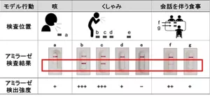 唾液飛散が起こる行動（咳、くしゃみ、食事）後、対象者の周囲に設置したプレート表面を綿棒で拭き取り、イムノクロマト法でアミラーゼ検査を行った結果。唾液飛沫が付着していると考えられる対象者周辺のプレートからはアミラーゼが検出され、距離が遠いプレートでは検出されませんでした。