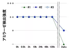 唾液飛沫中のアミラーゼの残存期間を2週間調査した結果。