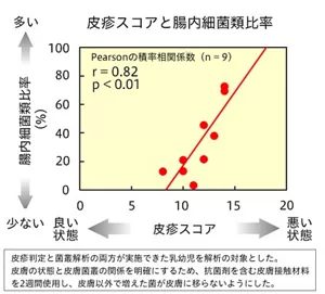 臀部周辺の肌の赤みの状態と臀部の皮膚の腸内細菌比率は正に相関することがわかりました。