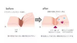 本商品の物理的効果のイメージ図