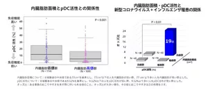 （左図）内臓脂肪高値群のpDC活性は、低値群に比べて有意に低い、（右図）内臓脂肪が多く、pDC活性が低い人は、新型コロナウイルス感染症・インフルエンザに罹った割合が高かった