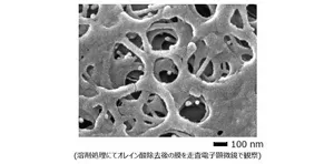 HPC-オレイン酸作用後のHPC塗膜の図 溶剤処理にてオレイン酸除去後の膜を走査電子顕微鏡で観察しました
