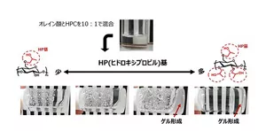 HP基の比率によるゲル化挙動の違いを示した図
