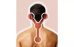 人の背面の画像を用いてYゾーンを表す図