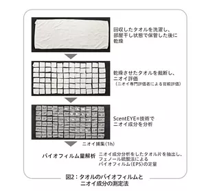 図2：タオルのバイオフィルムとニオイ成分の測定法の解説