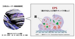 花王 | 落としきれずに肥大化した衣類のバイオフィルム新洗浄技術を