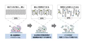 2種の界面活性剤で硬い結晶構造を緩めて内部から分散させるイメージ図