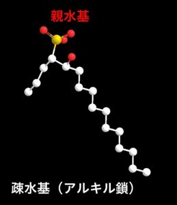 花王 | サステナブル界面活性剤 バイオIOS 特定の条件下で、洗浄と表面