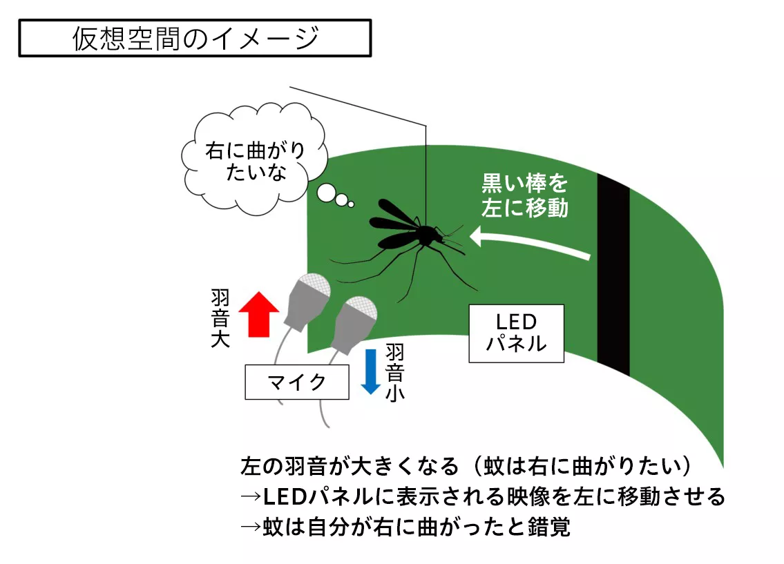 花王 | 蚊の観察に特化した仮想空間を理研とともに構築