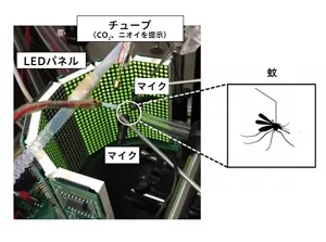 独自に構築した仮想空間。飛んでいる蚊の羽音をマイクで集めて計測することで、蚊の飛びたい方向を分析し、それに合わせて周囲の映像やニオイなどの感覚刺激を変化させることができます。