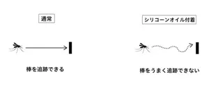 通常では、仮想空間内のLEDパネルに蚊の行動に応じて動く黒い物体（棒）を表示させると、蚊は棒を追いかけ、常に棒が目の前にくるように飛びます。しかし、脚にシリコーンオイルを付着させた蚊は、棒をうまく追跡することができなくなりました。