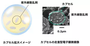 図2.紫外線散乱剤内包カプセル 走査型電子顕微鏡で撮影すると、カプセルの中に紫外線散乱剤が凝集せずに散乱している様子がわかる。