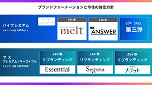 花王 ヘアケア事業変革 ブランドフォーメーションと今後の強化方針