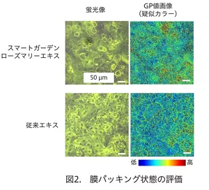 図2　膜パッキン状態の評価