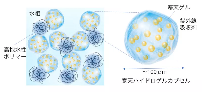 紫外線吸収剤を内包した寒天ハイドロゲルカプセルと、高抱水性ポリマーを水相に配合した新処方のイメージ