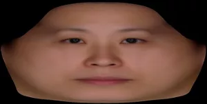 図2-2.3Dの顔画像を平面の顔画像に変換
