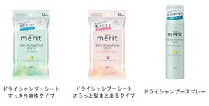 花王 | 花王、主力ヘアケアブランド「merit（メリット）」をリ