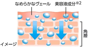 高密着セラム処方の模式図