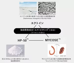 独自成分「エクトビオシス」を説明するイメージ図