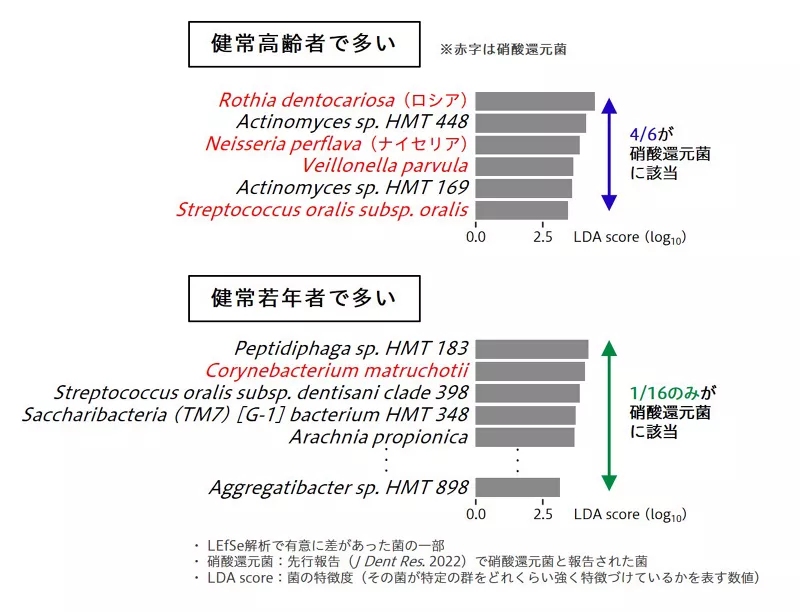 健常高齢者と健常若年者で多い菌のグラフ