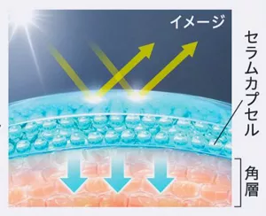 キュレル 潤浸保湿 スキンリペアUVセラムを肌に塗布したイメージ図