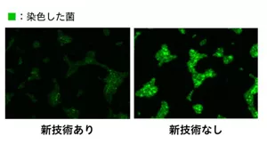 左の新技術ありの場合では菌はほぼ見られないことを表した図