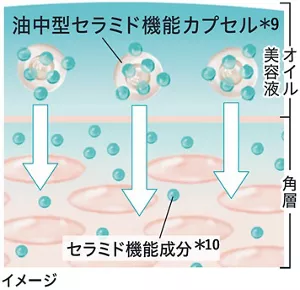 油中型セラミド機能カプセルイメージ