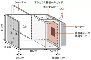 蚊の接触時間測定に用いたチャンバーの装置説明の図。ホストの匂いや熱、二酸化炭素、視覚的な手がかりを与えることができき、それにより、蚊のすりガラス基板への降着を促す装置である。