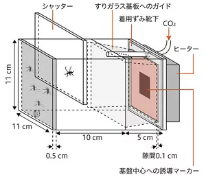 蚊の接触時間測定に用いたチャンバーの装置説明の図。ホストの匂いや熱、二酸化炭素、視覚的な手がかりを与えることができき、それにより、蚊のすりガラス基板への降着を促す装置である。