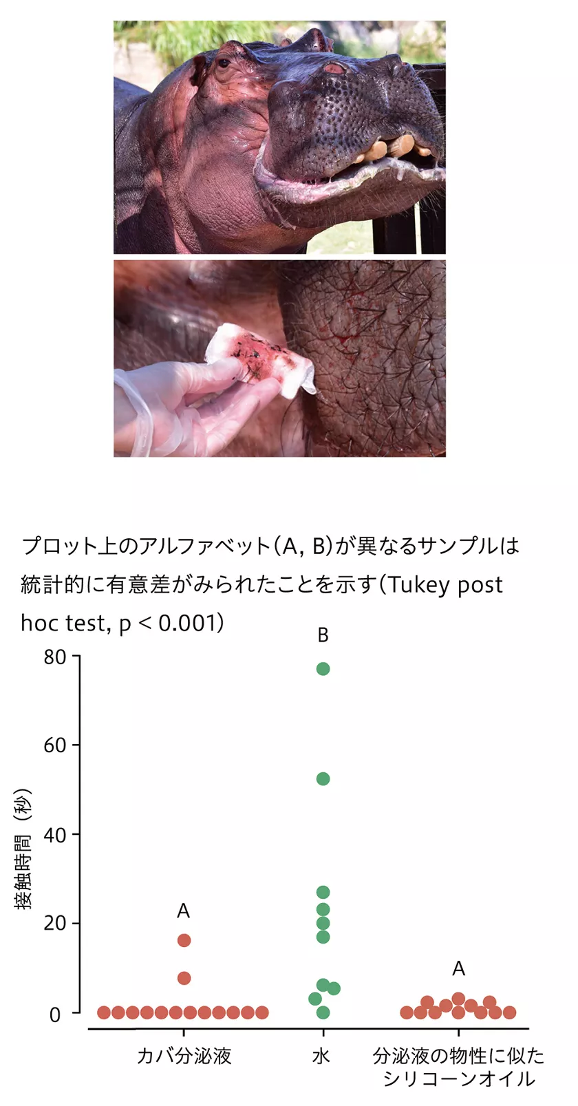 活動歴および当時の関連ビジュアル記録